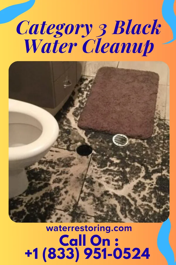 Category 3 Black Water Cleanup in Somers Point, NJ