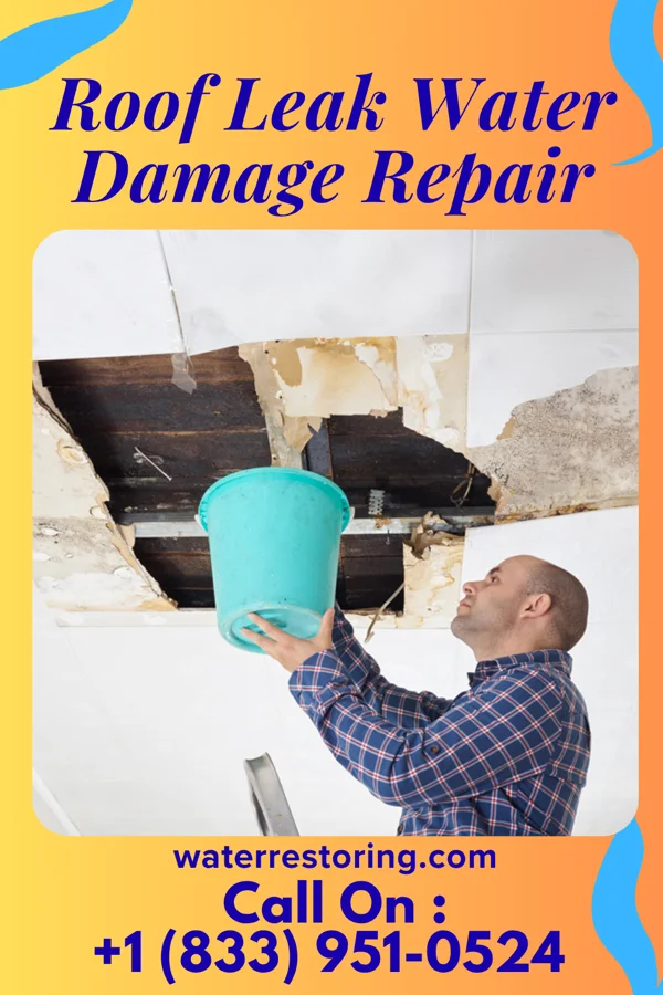 Roof Leak Water Damage Repair in Somers Point, NJ