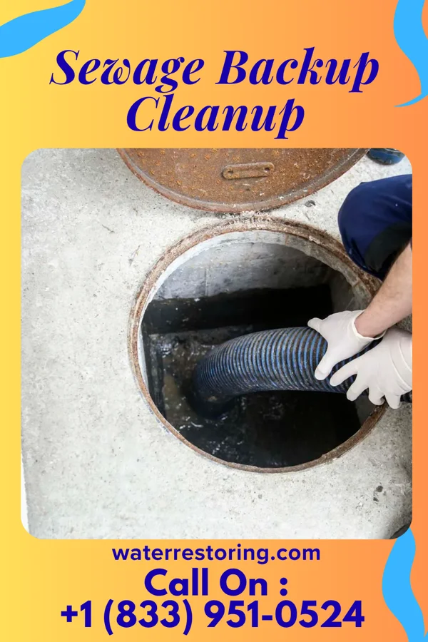 Sewage Backup Cleanup in Somers Point, NJ
